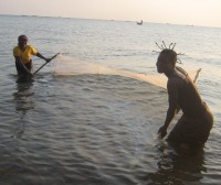 Women use bed nets to fish fry on the shores of Lake Tanganyika. We need further study to understand the full impact of this practice
